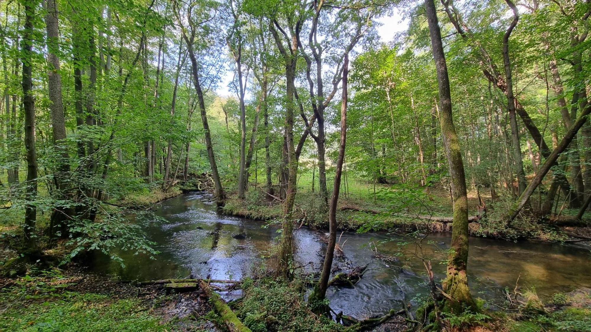Domki Nad Morzem Lublewo21 Obok Bialogory Lublewo Leborskie Esterno foto